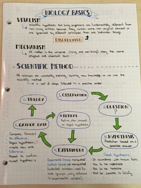 Scientific method Biology Notes Scientific Method, Introduction To Biology Notes, Scientific Method Notes, Science Revision Notes Biology, Microbiology Study Tips, Level Of Organization Biology, What Is Biology, Biology College, Biochemistry Notes