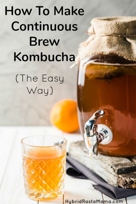 Continuous Brew Kombucha, Diy Kombucha, Make Kombucha, Kombucha Flavors, Kombucha Scoby, How To Brew Kombucha, Homemade Kombucha, Kombucha Recipe, Organic Food Store