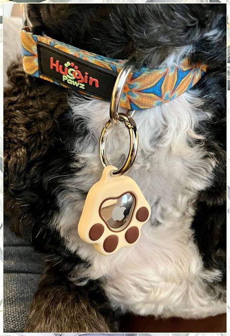 Looking to unleash style and safety for your furry friend? Check out our collection of 7 must-have dog ID tags and collar accessories. From personalized tags to stylish charms, we have everything you need to keep your pup looking fabulous while ensuring their safety. Shop now and give your dog the ultimate accessory upgrade! Beautiful Puppies, Dog Accesories, Collar Accessories, Air Tag, Dog Personality, Dog Name Tags, Personalized Dog Tags, Cat Id Tags, Cat Tags