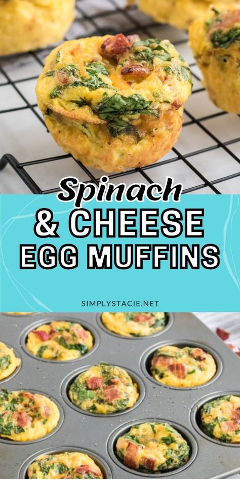 Spinach & Cheese Egg Muffins A mini frittata made with bacon, onions, cheese and spinach. Always a breakfast fave! Fritata Recipe, Spinach Frittata Recipes, Breakfast Cups Recipe, Recipe For Spinach, Frittata Muffins, Bacon Egg Muffins, Egg Muffins Recipe, Mini Frittata, Cottage Cheese Eggs