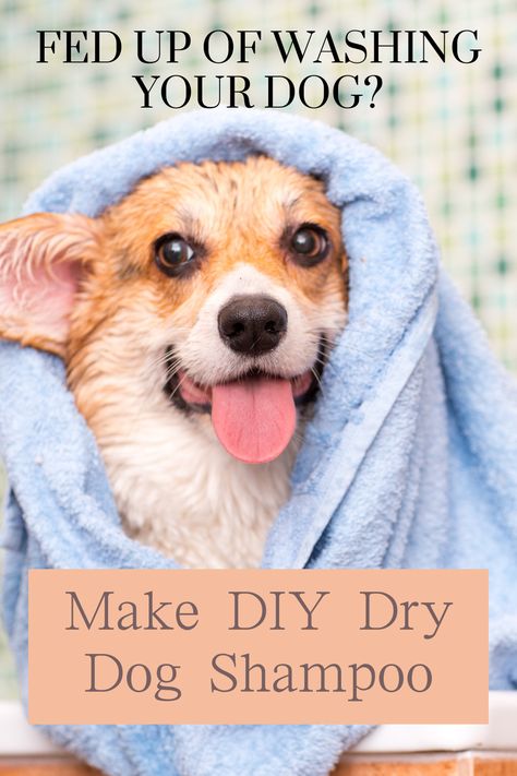 It's really easy to make dry dog shampoo so that you don't have to bath your dog so often. With a few household ingredients you can make chemical free dog shampoo at home, at little expense. Take the stress out of grooming with our helpful tips. Dog Shampoo Bar Recipe Melt And Pour, Dry Dog Shampoo Diy, Dog Shampoo Homemade, Homemade Flea Shampoo, Dry Shampoo For Dogs, Dog Deodorizer, Flea Shampoo For Dogs, Diy Dog Shampoo, Homemade Dog Shampoo