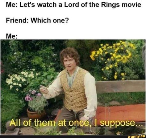 Lotr Funny, Into The West, Roman Holiday, Forrest Gump, Thranduil, Legolas, Gandalf, Middle Earth, The Rings