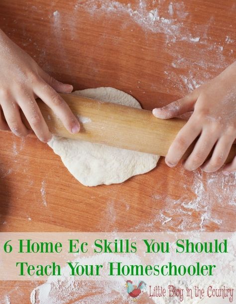 Home Economics Lessons High Schools, Homeschool Unit Study Ideas, Unit Study Ideas, Economics Project, Lesson Plan Ideas, Economics Lessons, Studying Food, Diy Bird Bath, Kids Cooking Recipes