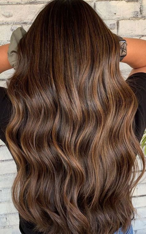 50 Exciting Hair Colour Ideas & Hairstyles for Brunettes : Brown Sugar Cookie Light Medium Brown Hair, Hair Colour Ideas For Brunettes, Brown Sugar Hair, Light Brown Hair Styles, Light Brown Hair Shades, Brown Hair Styles, Brunette Tones, Light Brunette Hair, Brown Hair Inspiration