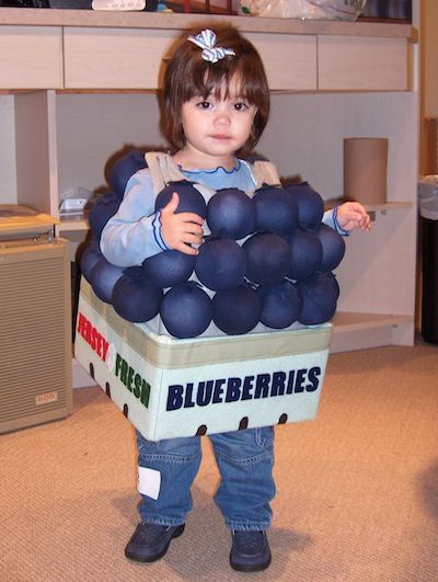 There has never been a cuter basket of berries. This Blueberry Toddler Halloween costume is creative! Blueberry Costume, Fruit Halloween Costumes, Spirit Costume, Fruit Costumes, Halloween Infantil, Halloween Fruit, Food Costumes, Blue Costumes, Masquerade Costumes