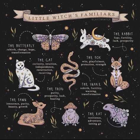 What Is A Familiar, How To Find Your Familiar, Witch Familiar Art, Familiars Witch Animal, Witch Familiar Animals, Nature Witch Art, Witchy Animals, What Is A Witch, Witch Familiar