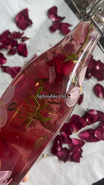 385K views · 121K likes | M O N I Q U E 🧚🏽 on Instagram: "One of the best oils you can make 🕯️It is perfect for helping with self love, channeling your inner divine power and enhancing your beauty. Aphrodite is also called upon to bless the oil in the process 🥀🕯️✨ • • • • • • #nature #spirituality #spiritualgirl #magick #greenwitch #spiritualgrowth #spiritualhealing #grounding #mindset #becomingyourbestself #romanticizeyourlife #folkcore #forestlover #greenwitch #liveformagic #witchesofinstagram # #magicalforest #selflovejourney #spiritual #fantasy #fairiesofinstagram #simpleliving #healing #findingyourself #cottagecoreasthetic #alliseeispretty #earthchild #fairytale" Aphrodite Oil, Self Love Oil, Aphrodite Beauty, Lady Aphrodite, Nature Spirituality, Spiritual Witch, Magick Oil, Aphrodite Aesthetic, Aphrodite Goddess