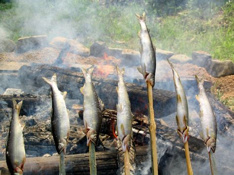 Cooking Fish-On-A-Stick the Easy Way Cooking Fish Over Open Fire, Catch And Cook, Camper Food, Cooking Fish, Bushcraft Skills, Beautiful Butterfly Photography, Water Tribe, How To Cook Fish, Fire Cooking