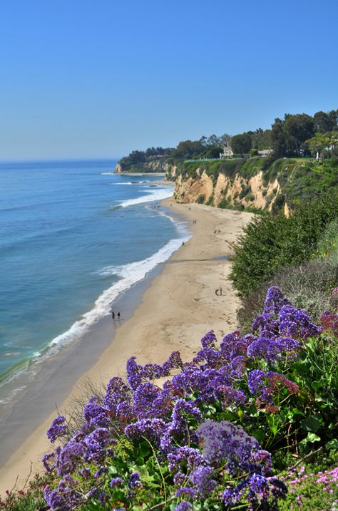 Malibu,California Paradise Cove Malibu, Ocean And Beach, Paradise Cove, Pacific Coast Highway, Malibu California, California Dreamin', California Beach, California Dreaming, Newport Beach