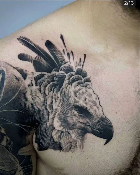 Harpy Eagle Tattoo, Animal Tatoos, Natur Tattoo Arm, Eagle Tattoo, Dark Tattoo, Time Tattoos, Aesthetic Tattoo, Tattoo Work, Tattoo Design Drawings