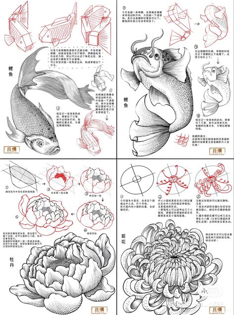 Japanese Art Tutorial, How To Draw Koi Fish, Bird Eye View Drawing, Chinese Sketch, Chinese Manga, Claire Wendling, Ink Drawing Techniques, Mises En Page Design Graphique, Structural Drawing