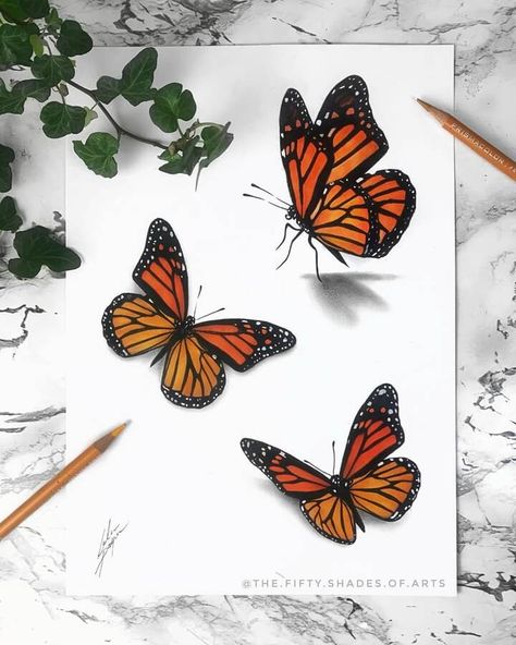 Orange Butterflies. Pencil and Ink Animal Drawings. Click the image, for more art from Solene Pasquier. Art Sketches Butterflies, Creative Animal Drawings, Pencil Art Drawings Butterfly, Butterfly Drawing With Color, Drawing With Butterflies, Butterfly Colorful Drawing, Butterfly Drawing Colorful, Butterfly On Flower Drawing, Monarch Butterfly Sketch