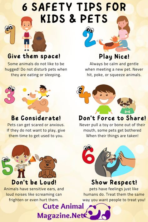 There are 6 safety tips for kids and pets. Please follow us to encourage us to continue. #pets #petslife #petsworld #cuteanimals #cutecat #cutedog #dogs #cats #puppy #kitten #petstips Pets For Kids, Best Pets For Kids, Kids And Pets, Dog Facts, Pet Sitting, Pet Hacks, Parenting Skills, Pet Safety, Vet Tech