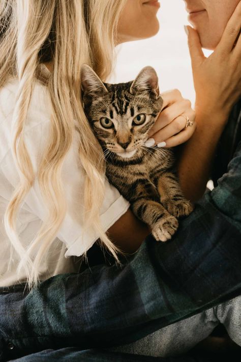 Cat Family Photo, Pet Family Photos, Family Pet Photography, Animal Photoshoot, Home Photo Shoots, College Party, Perfect Morning, Engagement Photo Poses, My Jam