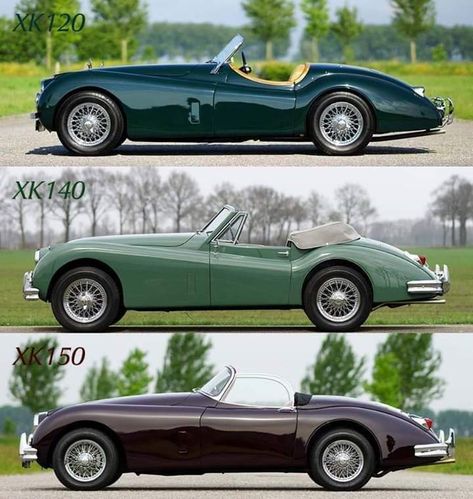 Jaguar Daimler, Ultimate Garage, Jaguar Cars, Jaguar Xk120, British Sports Cars, Jaguar Xk, Car Inspiration, Jaguar Car, Classic Sports Cars