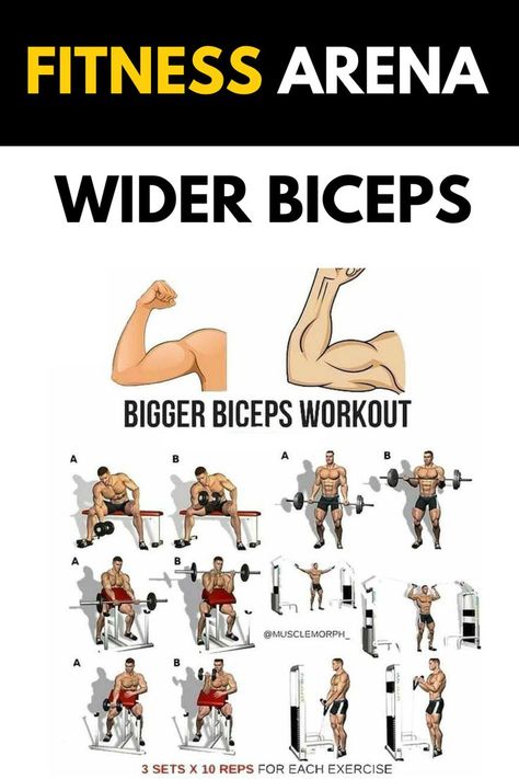 Achieve bigger biceps and better workout results by mastering these effective biceps workouts. Start your journey to stronger, more defined arms today. Biceps Exercise, Defined Arms, Big Biceps Workout, Bigger Biceps, Big Biceps, Effective Exercises, Workout Results, Biceps Workout, Fitness Experts