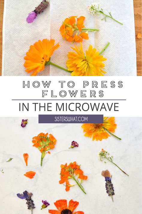 How to Press Flowers in the Microwave and Make a Flower Mask - Sisters, What! How To Dry Flowers And Keep Color, Microwave Flower Press, How To Dry Flowers, Pressed Flowers Diy, Press Flowers, Dried Flowers Diy, Spring Sewing, Pressed Flower Crafts, Art And Craft Ideas