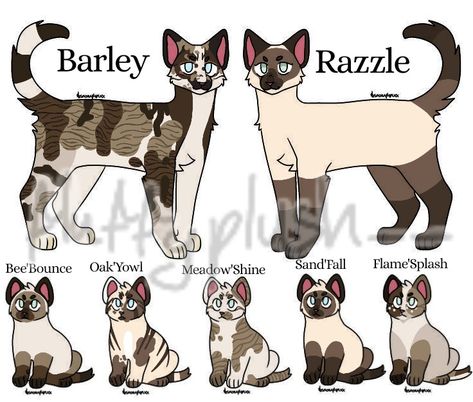 Roblox Warrior Cats Morphs, Wcue Oc Idea, Warrior Cats Roblox Morphs Ideas, Roblox Warrior Cats Oc Ideas, Warrior Cats Clans, Warrior Cats Funny, Wcue Morph, Warrior Cats Fan Art, Warrior Cat Drawings