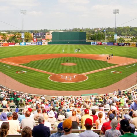 8 Things To Know When Planning An MLB Spring Training Trip Spring Training Outfits, Spring Training Baseball, Trip To Florida, Florida Springs, Florida Trip, Florida Hotels, All I Ever Wanted, Spring Training, Training Camp