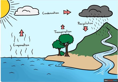 Learn How to Draw the Water Cycle: Easy Step-by-Step Drawing Tutorial for Kids and Beginners. See the full tutorial at https://easydrawingguides.com/how-to-draw-the-water-cycle/ . Water Cycle Drawing, School Drawing Ideas, Water Cycle Craft, Water Cycle For Kids, Water Cycle Poster, Draw School, Water Cycle Project, Water Cycle Diagram, Water Cycle Activities