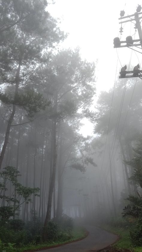 Foggy Forest Aesthetic Wallpaper, Wallpaper Gloomy, Dark Coquette Wallpaper, Foggy Wallpaper, Gray Aesthetic Wallpaper, Rainy Sky, Foggy Weather, Rain Wallpapers, Nostalgia Aesthetic