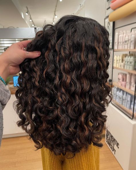 Hair Chestnut Brown, Brown Hair Curly, Auburn Brown Hair, Curly Hair Color Ideas, Curly Hair Color, Highlights Curly, Dyed Curly Hair, Natural Curly Hair Cuts, Highlights Curly Hair