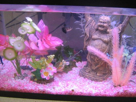 Fish Tank Bed, Betta Fish Decor, Glofish Tank, Kawaii Fish, Glow Fish, Fish Tank Themes, Fish Tank Terrarium, Cool Fish Tanks, Fish Tank Design