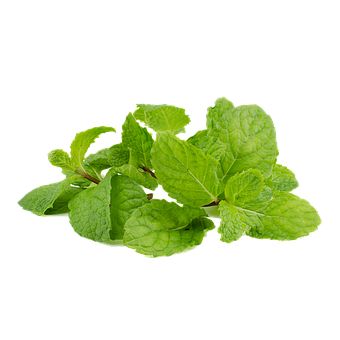 Mint Leaf Peppermint, #Mint, #Peppermint, #Leaf Peppermint Leaf, Leaves Clipart, Mint Leaf, Peppermint Leaves, Brochure Layout, Corporate Brochure, Mint Leaves, Free Photo, Free Photos