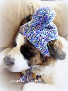 Free Crochet Pattern ~A Silly Hat For My Silly Dog  http://www.niftynnifer.com/2015/01/free-crochet-pattern-silly-hat-for-my.html #Crochet #Hat #Dog Crochet Dog Hat Free Pattern, Crochet Dog Hat, Kat Haken, Crochet Dog Clothes, Dog Sweater Crochet Pattern, Silly Hats, Crochet Dog Patterns, Crochet Dog Sweater, Dog Hat