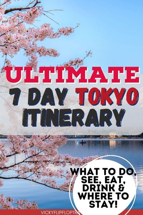 So while there is so much to see and do in Tokyo, having a rough plan can help ensure you see all the important parts – especially if you’re only there for a week. This 7-day Tokyo itinerary helps you squeeze in as much of the must-sees and dos as possible, but also giving you time to act spontaneously too. 7 Days Tokyo Itinerary, Tokyo Itinerary, Japan Travel Destinations, Festival Guide, Visit Tokyo, Japan Travel Tips, Itinerary Planning, Japanese Gardens, Tokyo Travel