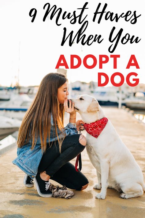 Dog Adoption Announcement, Dog Must Haves, Adopting A Dog, New Puppy Checklist, How To Be Single, Rescue Puppies, Dog List, Dog Essentials, Crazy Dog Lady