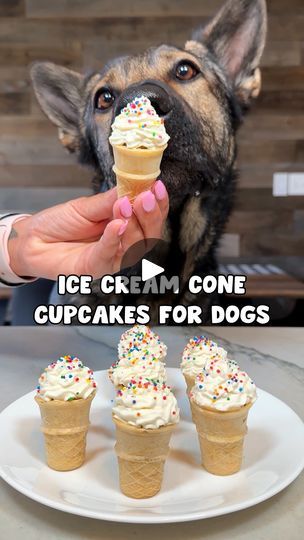 Cupcakes For Dogs, Cupcakes For Dogs Recipe, Dog Ice Cream Recipe, Recipe Ice Cream, Cone Cupcakes, Ice Cream Cone Cupcakes, Mini Ice Cream Cones, Doggy Treats, Cupcake Cones