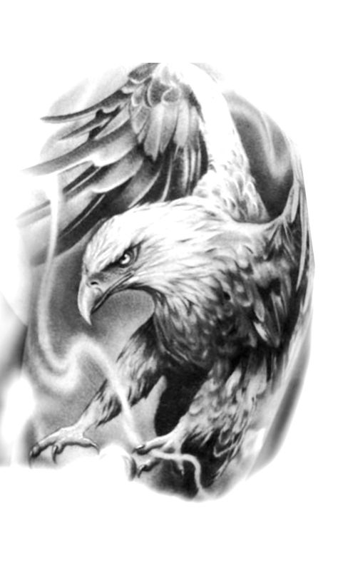 Realistic Tattoo Stencil, Eagle Tattoo Arm, Eagle Tattoo Designs, Eagle Tattoo Design, Eagle Chest Tattoo, Egypt Tattoo Design, Bald Eagle Tattoos, Chest Tattoo Drawings, All Seeing Eye Tattoo