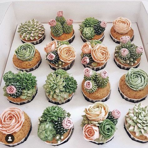 Plant Cupcakes, Succulent Wedding Cakes, Cactus Cupcakes, Succulent Cupcakes, Succulent Cake, Cactus Cake, Mini Torte, Elephant Cakes, Moon Wedding