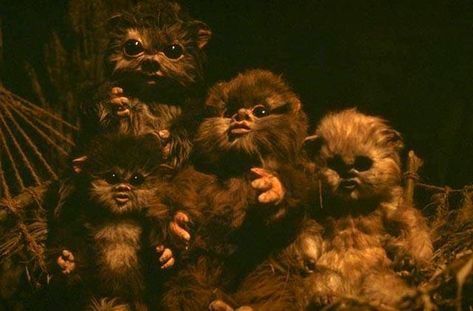 baby ewoks Ewok Baby, Star Wars History, Star Wars Planets, Star Wars Canon, Star Wars Background, Star Wars Film, Galactic Empire, Star Wars Movie, Star Wars Episodes