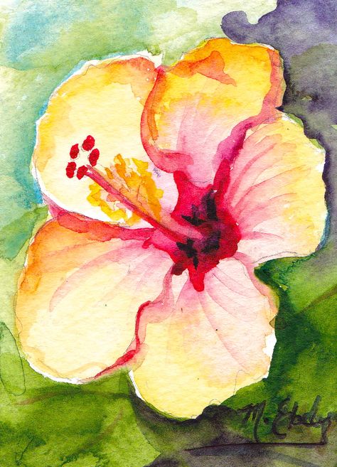 Hawaiian Flower Drawing, Hibiscus Drawing, Hibiscus Flower Drawing, Hawaii Flowers, Flower Water, Canvas Painting Designs, Watercolor Flower Art, Cute Paintings, Watercolor Flowers Paintings