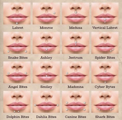 Piercings With Names, Different Kinds Of Piercings, Peircings Name Chart, Lip Piercing Names, Piercing Names, Piercings Chart, Mouth Piercings, Piercing Chart, Face Piercings