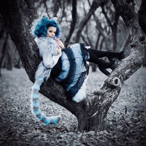 Russian Cosplay: Cheshire Cat (Alice in Wonderland) Chesire Cat Costume, Cheshire Cat Cosplay, Kitty Cheshire, Alice In Wonderland Outfit, Cheshire Cat Costume, Cheshire Cat Alice In Wonderland, Dark Alice In Wonderland, Alice Cosplay, Alice Costume