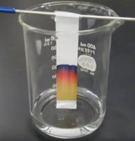 Osmosis Experiment, Chromatography Experiment, Paper Chromatography, Flame Test, Forensic Scientist, Science Magazine, Chemistry Experiments, Blotting Paper, Chemical Reactions