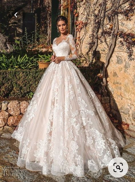 Wedding Gown Princess, Sheer Wedding Dress, Princess Ball Gowns, Dream Wedding Ideas Dresses, A Wedding Dress, Princess Wedding Dresses, Long Sleeve Wedding, Princess Wedding, Wedding Dress Long Sleeve