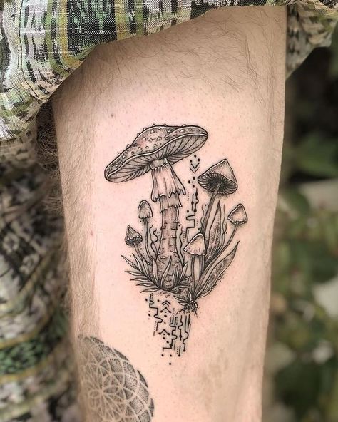 Pierce Ideas, Mushroom Medicine, Mushroom Tattoo, Mushroom Tattoos, Kindred Spirit, Tattoo Care, Beautiful Body, Nature Tattoos, Skin Art