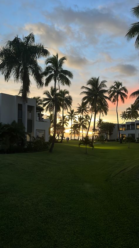 Sunset seen beyond palm trees bc the oceanside of fiji Fiji Sunset, Dark House, Goth Wallpaper, Pretty Places, Full Movies, Palm Trees, Trees, Quick Saves