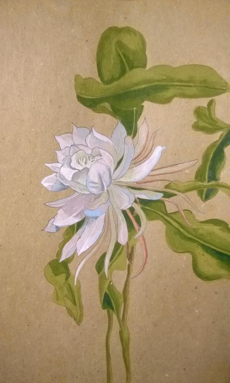 Epiphyllum Oxypetalum Tattoo, Moon Flower Art, Kadupul Flower, Epiphyllum Oxypetalum, Succulent Watercolor, Watercolor Paintings Nature, Fancy Flowers, Postage Stamp Art, Drawing Watercolor