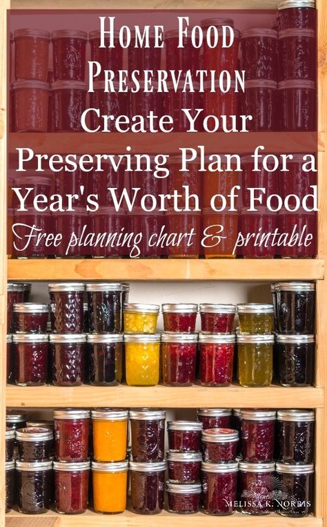 Homestead Food, Canning Food Preservation, Canned Food Storage, Water Bath Canning, Home Canning, Dehydrated Food, Pressure Canning, Meals In A Jar, Food Preservation