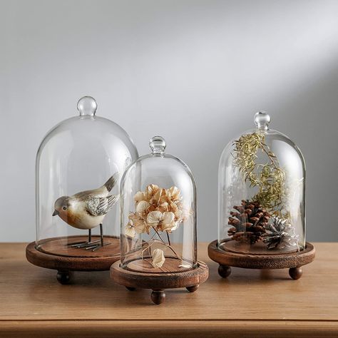 Bell Jar Decor, Glass Cloche Decor, Cloche Display, Spring Mantle Decor, Cloche Decor, Glass Dome Cloche, Glass Bell Jar, Cloche Domes, Jar Display