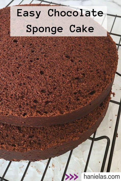 Sliced chocolate cake on a cooling rack. Sponge Recipe, Chocolate Sponge Cake, Best Carrot Cake, Sponge Cake Recipes, Chocolate Sponge, A Picnic, Easy Chocolate, Sponge Cake, Cake Batter