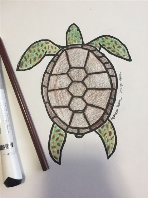 Sea Turtles Drawing, Turtle Drawing Tutorial, Turtle Drawing Color Pencil, Sea Turtle Drawing Colored Pencil, Sea Turtle Cartoon Drawing, Colored Pencil Sea Animals, Land Turtle Drawing, Turtle In Ocean Drawing, Sea Turtle Drawing