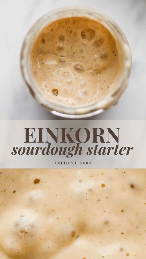 Ancient Grain Bread Recipe, Einkorn Sourdough Starter, Einkorn Sourdough, Leavened Bread, Sourdough Starter From Scratch, Einkorn Bread, Einkorn Recipes, Making Sourdough Bread, Sourdough Bread Starter