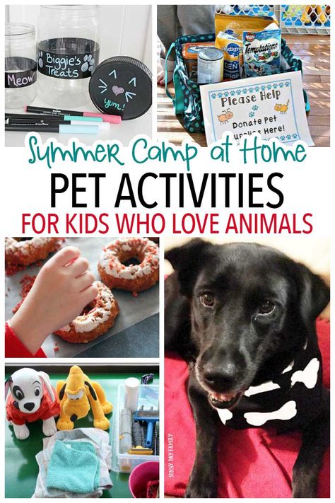 Do your kids love animals? This pet themed summer camp at home is for you! Get a week of pet activities for kids - with options for pretend pets too. Your kids will love these dog and cat activities, crafts, projects and more! Pet Activities For Kids, Preschool Pet Theme, Pet Activities, Summer Camp At Home, Camp At Home, Dogs Diy Projects, Pet Theme, Cats Diy Projects, Cat Activity