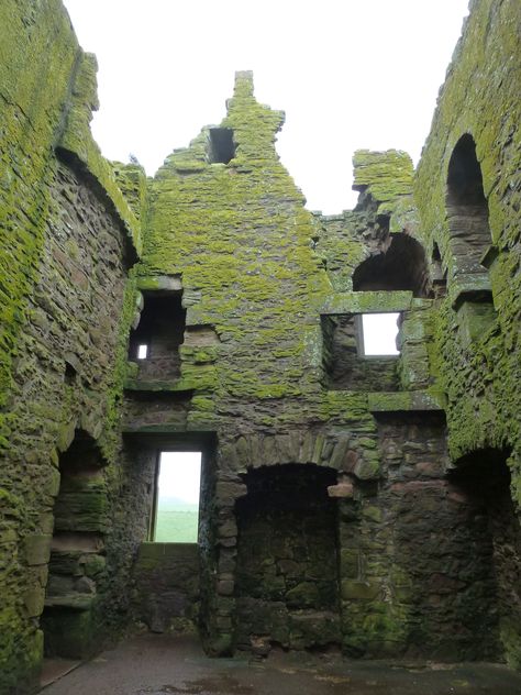 Dunnottar Castle moss Scotland Mossy Architecture, Mossy Castle, Tower Room, Midhope Castle Scotland, Doune Castle Scotland, Old Scottish Castle, Dunnottar Castle, Abandoned Castles In Scotland, Eerie Places